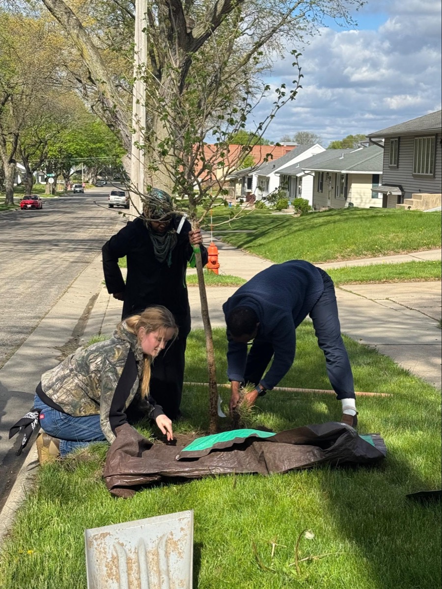 Community tree planting